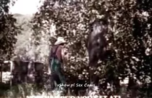 XXX Fucked સુંદર ચિક આપી હતી અને તેના એક ફુવારો ના વીર્ય
